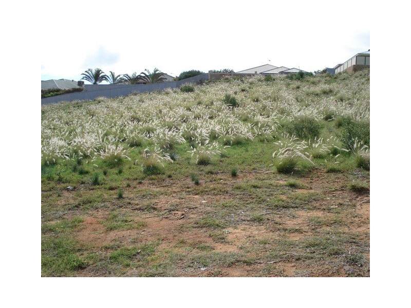 Lot 194, 7 Pelican Rise, Wandina WA 6530