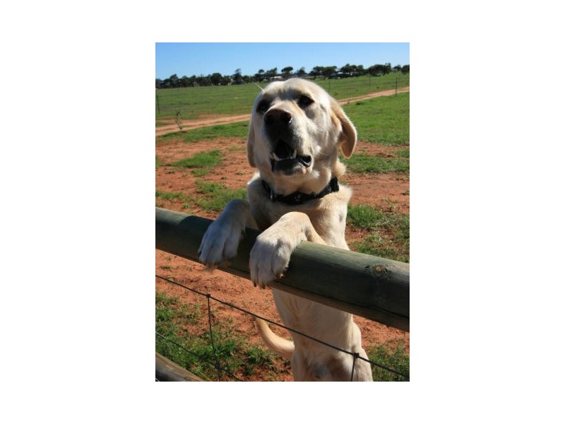 284 Sadler Way, Deepdale WA 6532