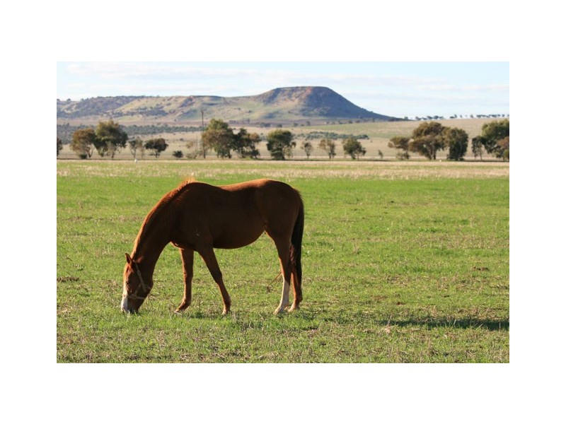 286 Sadler Way, Deepdale WA 6532