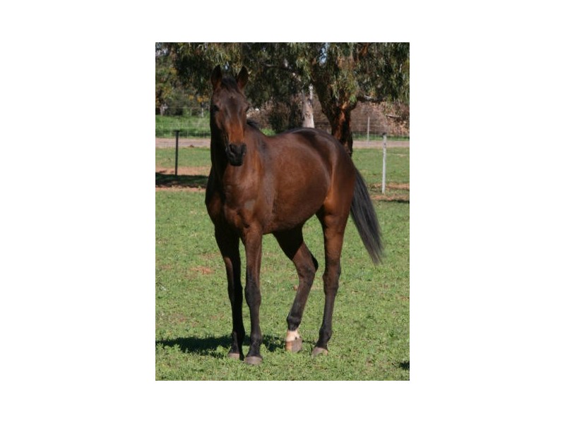 283 Sadler Way, Deepdale WA 6532