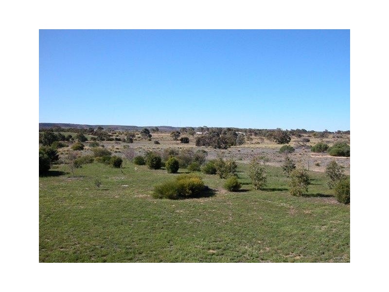 4 77 Richards Road, Buller WA 6532