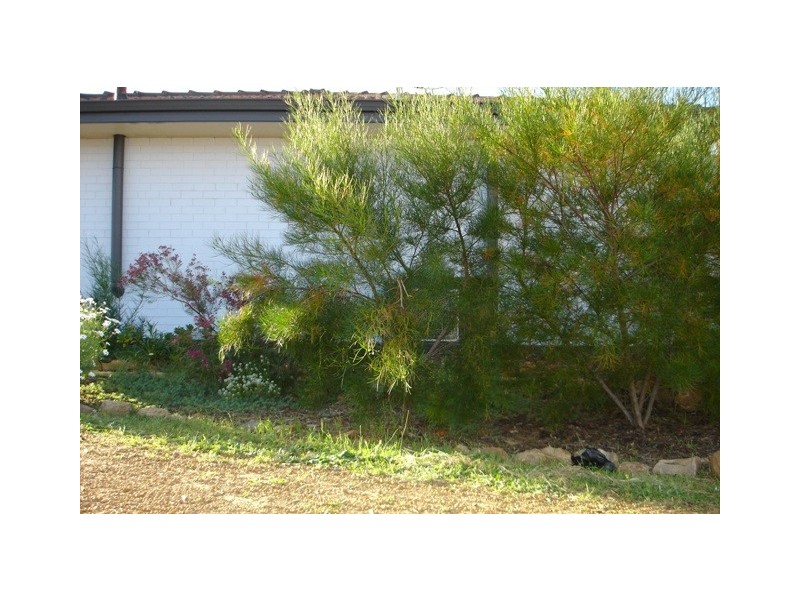 25 Hardman Street, Rangeway WA 6530