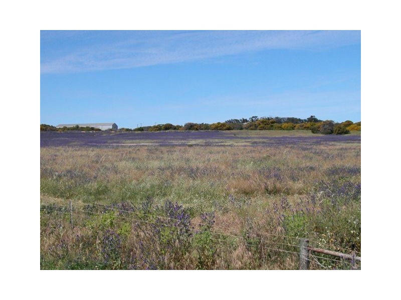 Lot 11, 11 Howard Street, Geraldton WA 6530