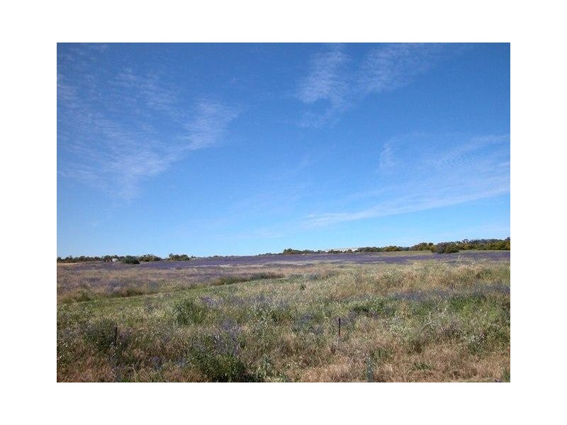 Lot 11, 11 Howard Street, Geraldton WA 6530