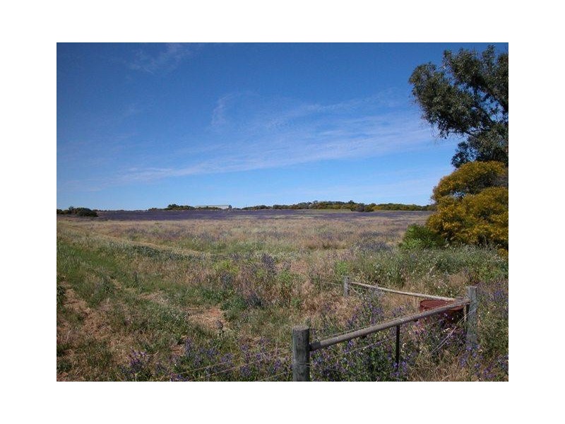 Lot 11, 11 Howard Street, Geraldton WA 6530