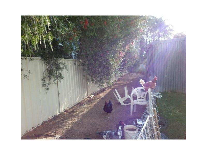 23 Houston Street, Spalding WA 6530