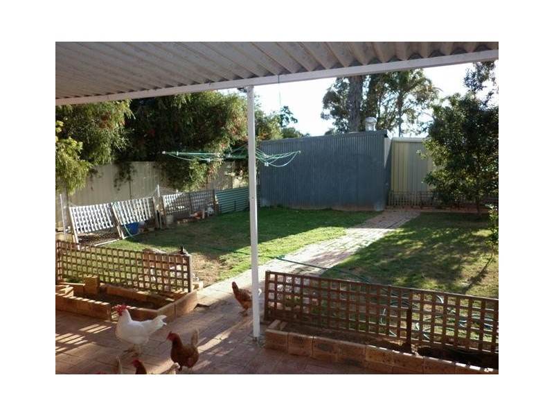 23 Houston Street, Spalding WA 6530