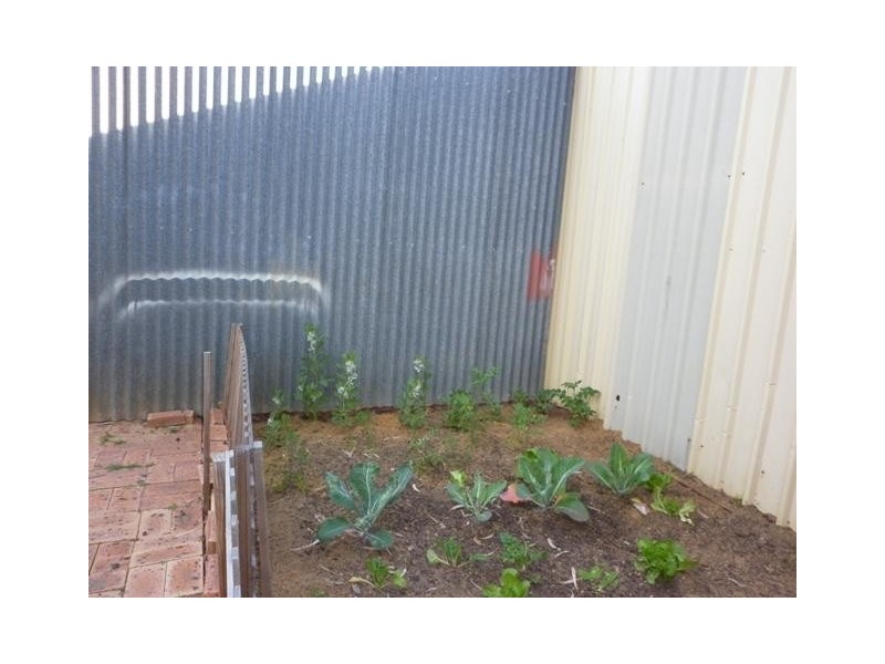 23 Houston Street, Spalding WA 6530