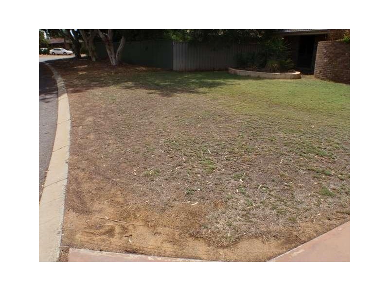 27 Kultown Drive, Waggrakine WA 6530