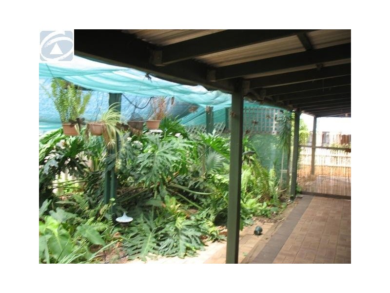 18 Halfmoon Drive, Waggrakine WA 6530