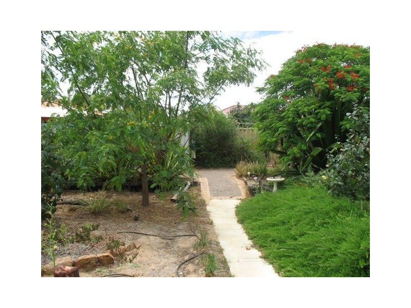 18 Halfmoon Drive, Waggrakine WA 6530