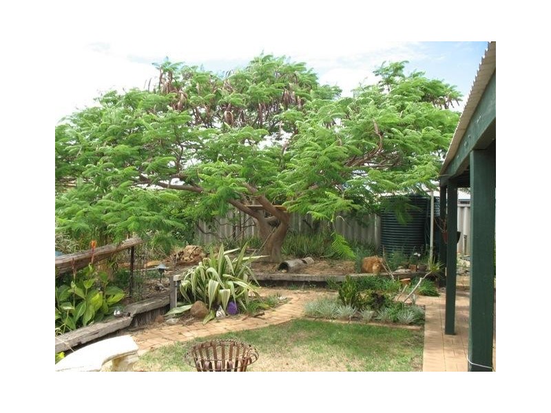 18 Halfmoon Drive, Waggrakine WA 6530