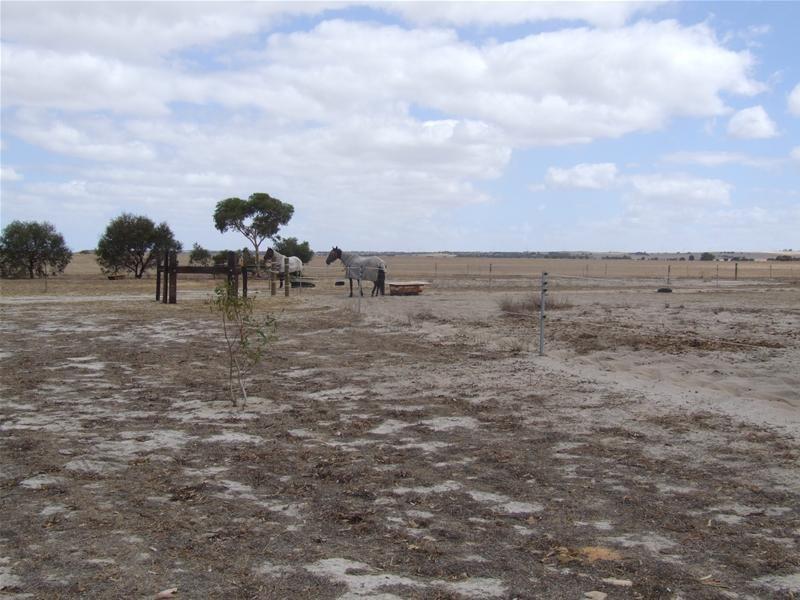 665 Allanooka Springs Road, Walkaway WA 6528