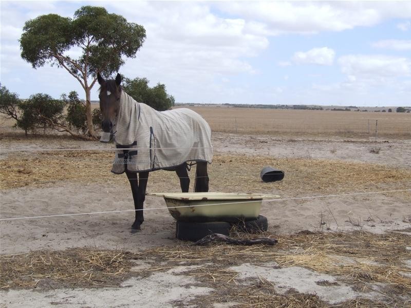 665 Allanooka Springs Road, Walkaway WA 6528