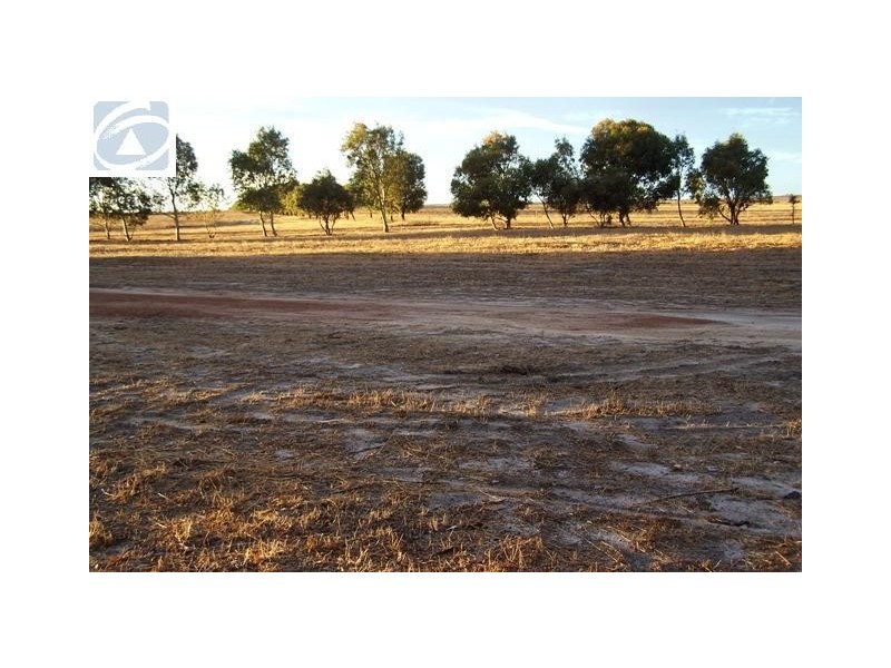 665 Allanooka Springs Road, Walkaway WA 6528