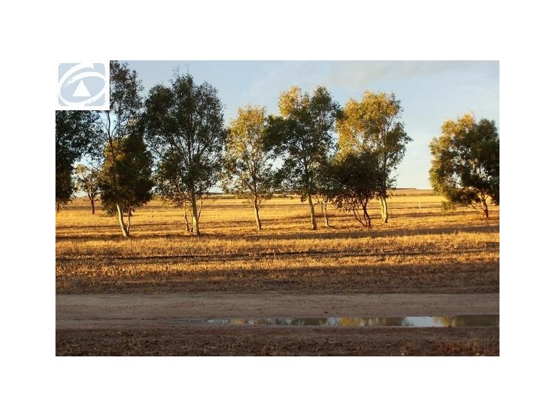 665 Allanooka Springs Road, Walkaway WA 6528