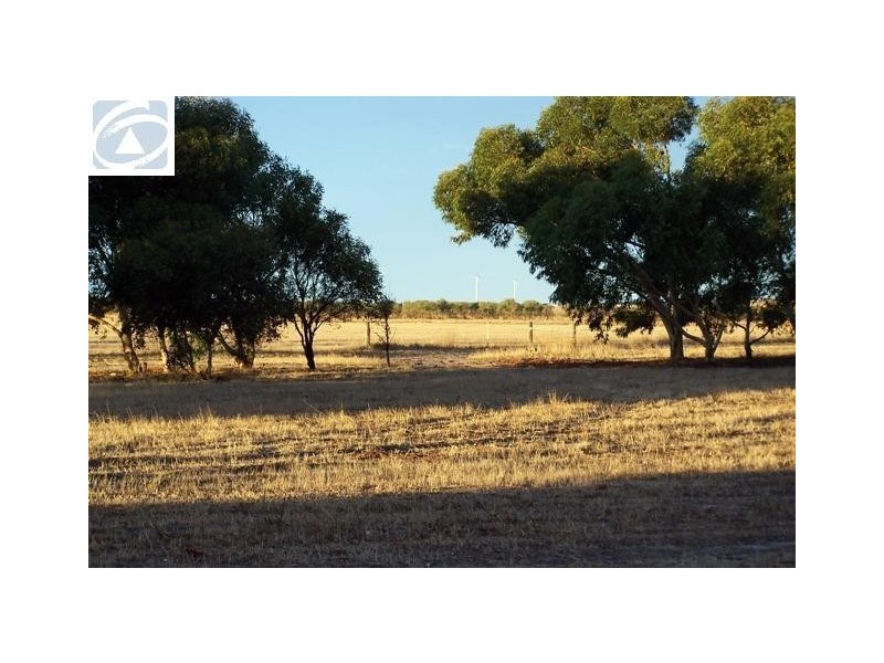 665 Allanooka Springs Road, Walkaway WA 6528