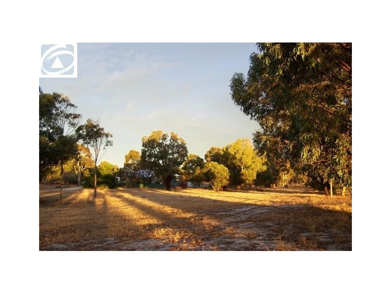 665 Allanooka Springs Road, Walkaway WA 6528