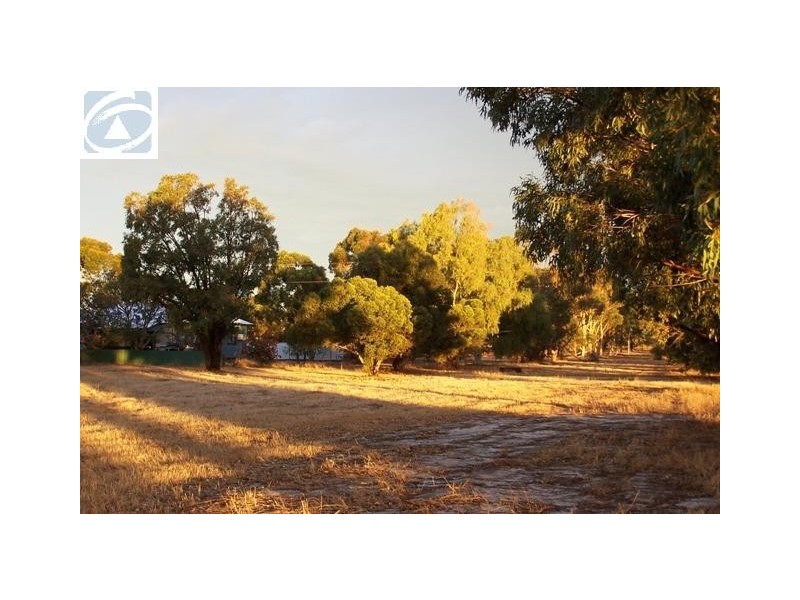 665 Allanooka Springs Road, Walkaway WA 6528