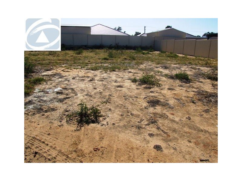 Lot 223, 10 Pirrotina Link, Waggrakine WA 6530