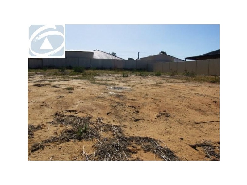 Lot 223, 10 Pirrotina Link, Waggrakine WA 6530