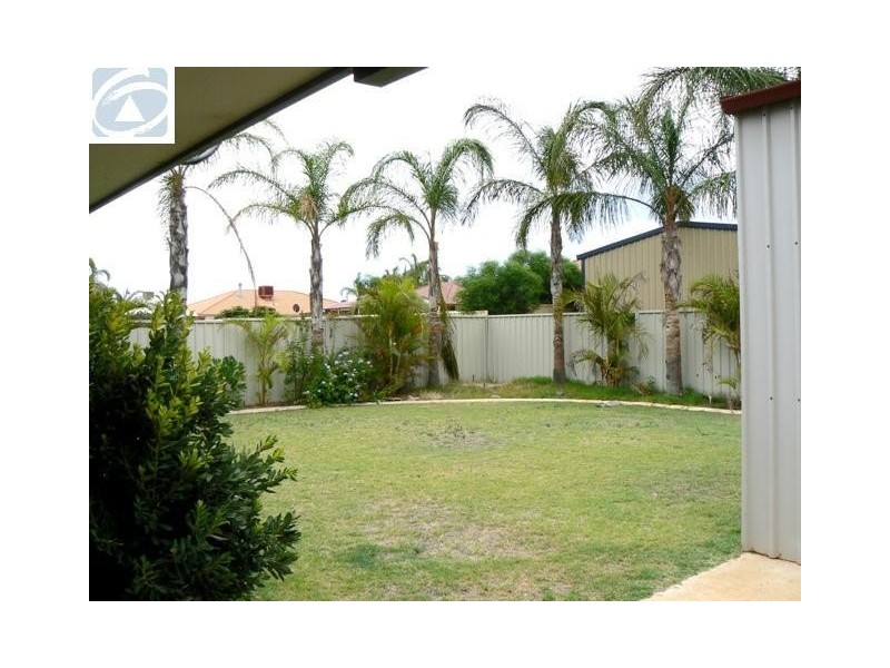 14 Halfmoon Drive, Waggrakine WA 6530
