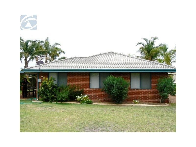 14 Halfmoon Drive, Waggrakine WA 6530