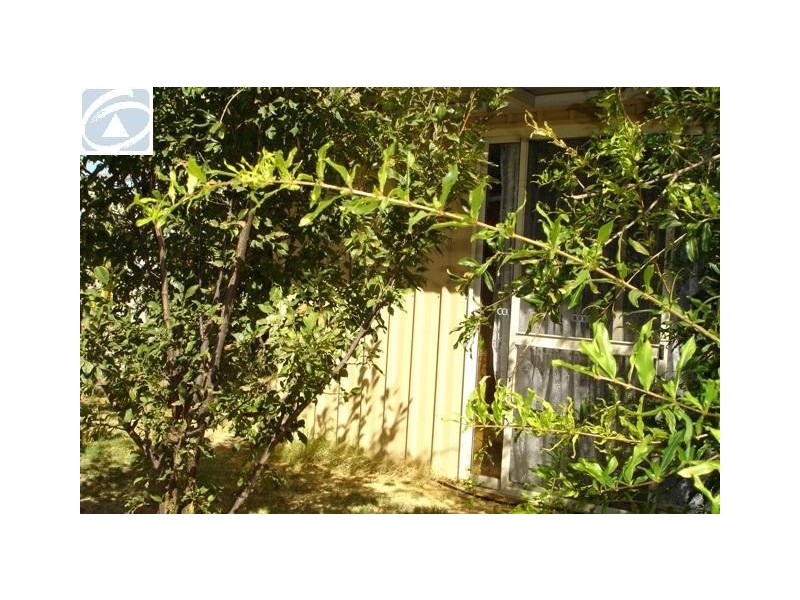 262B First Street, Wonthella WA 6530