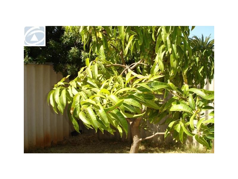 262B First Street, Wonthella WA 6530