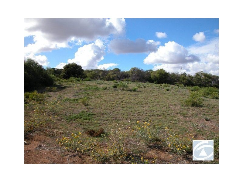 Lot 337, 24 Thames Drive, Cape Burney WA 6532