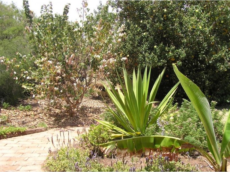 8 Quayside Vista, Drummond Cove WA 6532