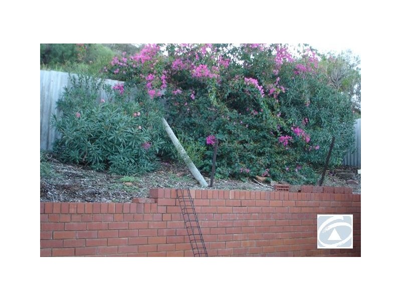 8 Patio Place, Geraldton WA 6530