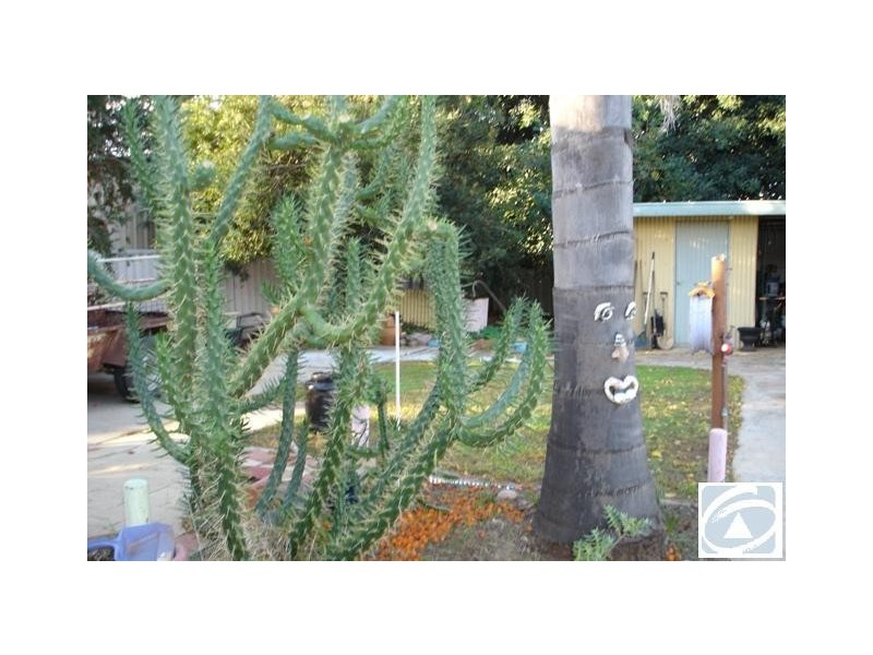 21 Felicia Street, Rangeway WA 6530