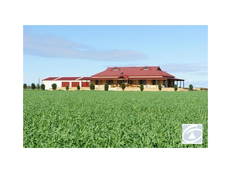 240 McCartney Road, Greenough WA 6532