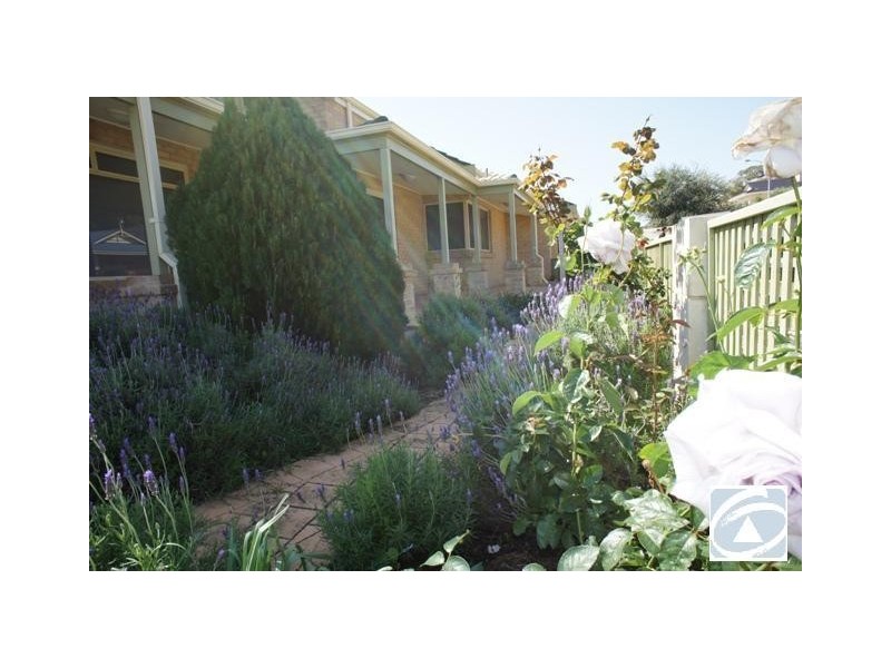 7 St Georges Close, Bluff Point WA 6530