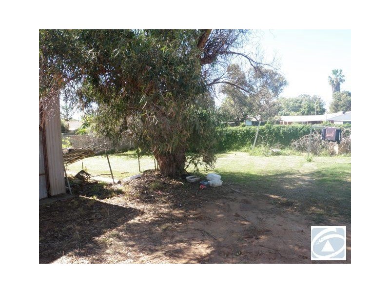 5 Odgers Street, Spalding WA 6530