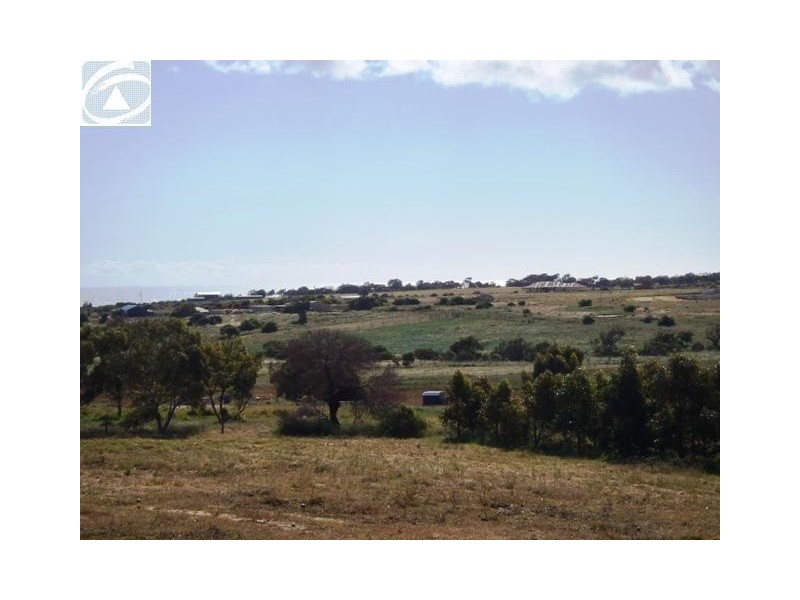 45 Calder Place, Waggrakine WA 6530