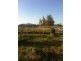 15 Dressage Circle, Deepdale WA 6532
