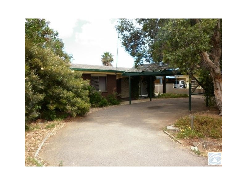 95 Railway Street, Bluff Point WA 6530