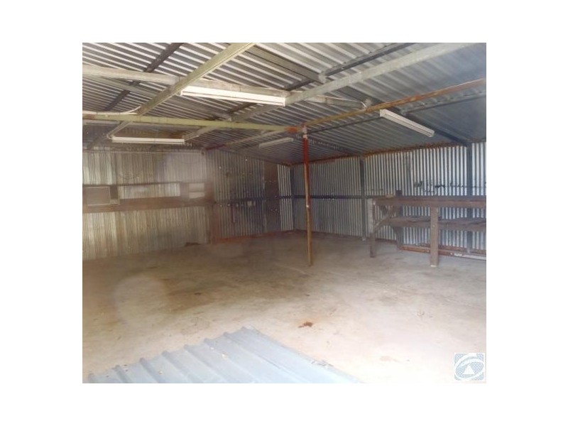 38 Diosma Street, Rangeway WA 6530