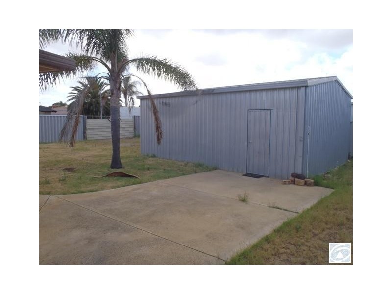 33 Kultown Drive, Waggrakine WA 6530