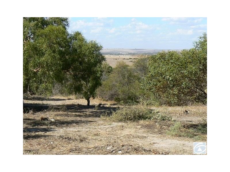 52b Eakins Crescent, Wandina WA 6530