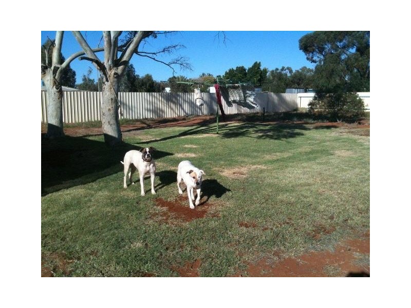 2 Priestley Street, Mount Magnet WA 6638