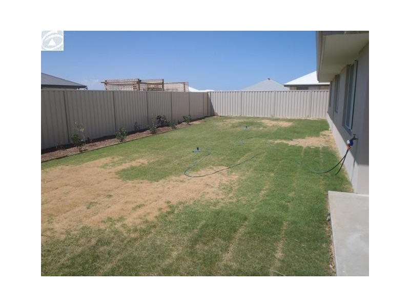 6 Ivy Way, Wandina WA 6530