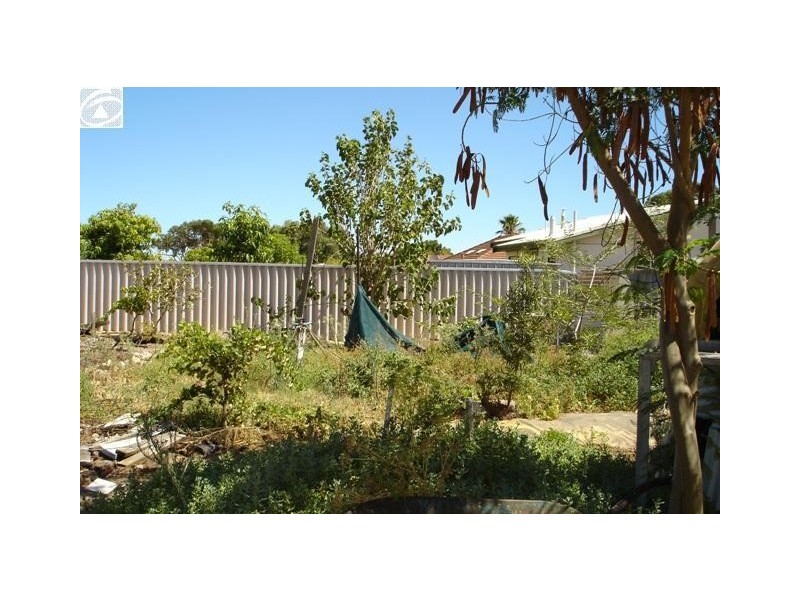 14 Cassia Street, Rangeway WA 6530