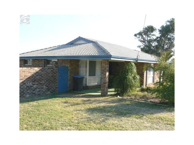 20 Jenner Court, Spalding WA 6530