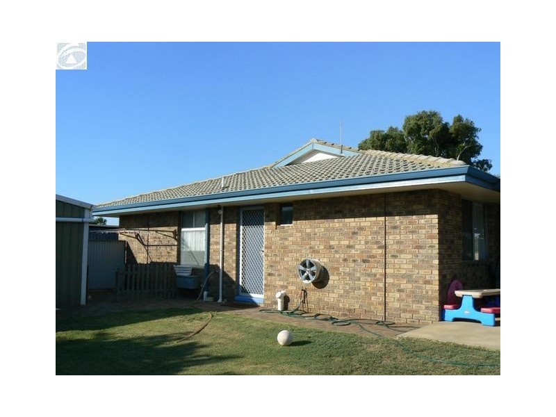 20 Jenner Court, Spalding WA 6530