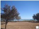 142 Kempton Street, Bluff Point WA 6530