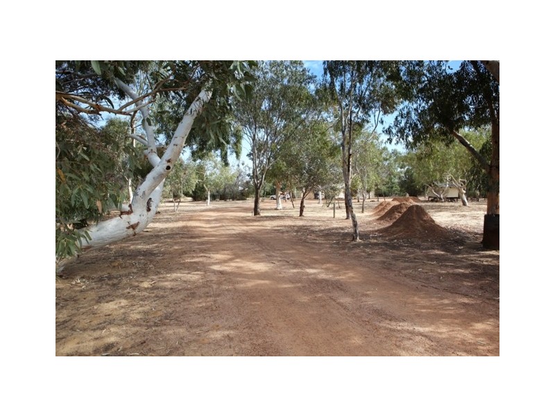 57 Arnold Road, Waggrakine WA 6530