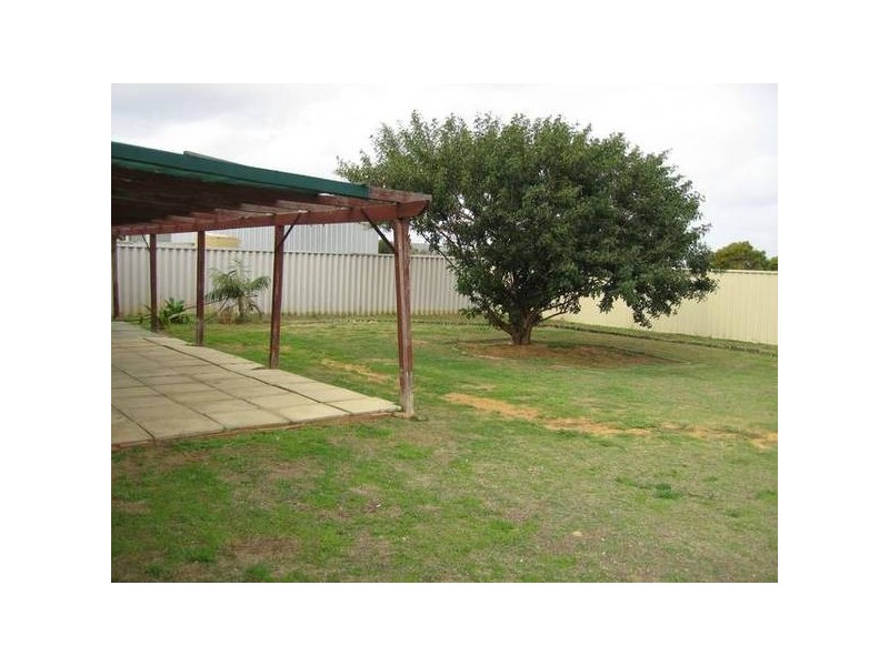 80 Chapman Valley Road, Waggrakine WA 6530